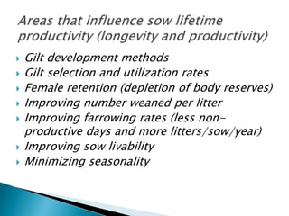 Dr. Steve Pollmann - Sow lifetime productivity: Importance of ...