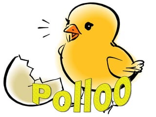 Polloo 