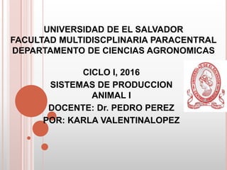 UNIVERSIDAD DE EL SALVADOR
FACULTAD MULTIDISCPLINARIA PARACENTRAL
DEPARTAMENTO DE CIENCIAS AGRONOMICAS
CICLO I, 2016
SISTEMAS DE PRODUCCION
ANIMAL I
DOCENTE: Dr. PEDRO PEREZ
POR: KARLA VALENTINALOPEZ
 