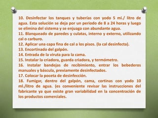 10. Desinfectar los tanques y tuberías con yodo 5 mi./ litro de
agua. Esta solución se deja por un periodo de 8 a 24 horas y luego
se elimina del sistema y se enjuaga con abundante agua.
11. Blanqueado de paredes y culatas, interno y externo, utilizando
cal o carburo.
12. Aplicar una capa fina de cal a los pisos. (la cal desinfecta).
13. Encortinado del galpón.
14. Entrada de la viruta para la cama.
15. Instalar la criadora, guarda criadora, y termómetro.
16. Instalar bandejas de recibimiento, entrar los bebederos
manuales y báscula, previamente desinfectados.
17. Colocar la poceta de desinfección.
18. Fumigar, dentro del galpón, cama, cortinas con yodo 10
ml./litro de agua. (es conveniente revisar las instrucciones del
fabricante ya que existe gran variabilidad en la concentración de
los productos comerciales.
 