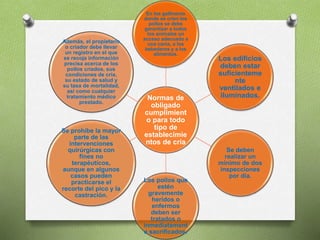 Normas de
obligado
cumplimient
o para todo
tipo de
establecimie
ntos de cría
En los gallineros
donde se críen los
pollos se debe
garantizar a todos
los animales un
acceso adecuado a
una cama, a los
bebederos y a los
alimentos.
Los edificios
deben estar
suficienteme
nte
ventilados e
iluminados.
Se deben
realizar un
mínimo de dos
inspecciones
por día.
Los pollos que
estén
gravemente
heridos o
enfermos
deben ser
tratados o
inmediatament
e sacrificados.
Se prohíbe la mayor
parte de las
intervenciones
quirúrgicas con
fines no
terapéuticos,
aunque en algunos
casos pueden
practicarse el
recorte del pico y la
castración.
Además, el propietario
o criador debe llevar
un registro en el que
se recoja información
precisa acerca de los
pollos criados, sus
condiciones de cría,
su estado de salud y
su tasa de mortalidad,
así como cualquier
tratamiento médico
prestado.
 