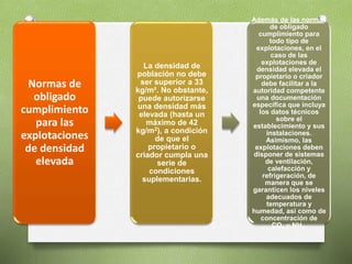 Normas de
obligado
cumplimiento
para las
explotaciones
de densidad
elevada
La densidad de
población no debe
ser superior a 33
kg/m². No obstante,
puede autorizarse
una densidad más
elevada (hasta un
máximo de 42
kg/m2), a condición
de que el
propietario o
criador cumpla una
serie de
condiciones
suplementarias.
Además de las normas
de obligado
cumplimiento para
todo tipo de
explotaciones, en el
caso de las
explotaciones de
densidad elevada el
propietario o criador
debe facilitar a la
autoridad competente
una documentación
específica que incluya
los datos técnicos
sobre el
establecimiento y sus
instalaciones.
Asimismo, las
explotaciones deben
disponer de sistemas
de ventilación,
calefacción y
refrigeración, de
manera que se
garanticen los niveles
adecuados de
temperatura y
humedad, así como de
concentración de
CO2 y NH3.
 