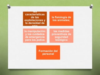 las
características
de las
explotaciones y
la densidad de
cría;
la fisiología de
los animales;
la manipulación
y los cuidados
de emergencia
para los pollos
las medidas
preventivas de
seguridad
biológica
Formación del
personal
 