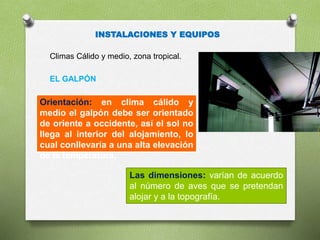 INSTALACIONES Y EQUIPOS
Climas Cálido y medio, zona tropical.
EL GALPÓN
Orientación: en clima cálido y
medio el galpón debe ser orientado
de oriente a occidente, así el sol no
llega al interior del alojamiento, lo
cual conllevaría a una alta elevación
de la temperatura,
Las dimensiones: varían de acuerdo
al número de aves que se pretendan
alojar y a la topografía.
 