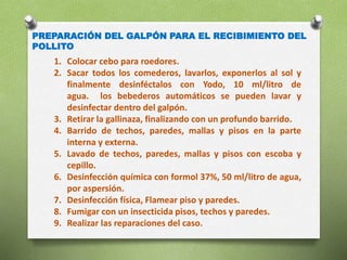 PREPARACIÓN DEL GALPÓN PARA EL RECIBIMIENTO DEL
POLLITO
1. Colocar cebo para roedores.
2. Sacar todos los comederos, lavarlos, exponerlos al sol y
finalmente desinféctalos con Yodo, 10 ml/litro de
agua. los bebederos automáticos se pueden lavar y
desinfectar dentro del galpón.
3. Retirar la gallinaza, finalizando con un profundo barrido.
4. Barrido de techos, paredes, mallas y pisos en la parte
interna y externa.
5. Lavado de techos, paredes, mallas y pisos con escoba y
cepillo.
6. Desinfección química con formol 37%, 50 ml/litro de agua,
por aspersión.
7. Desinfección física, Flamear piso y paredes.
8. Fumigar con un insecticida pisos, techos y paredes.
9. Realizar las reparaciones del caso.
 
