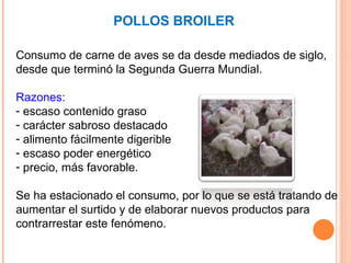 [object Object],[object Object],[object Object],[object Object],[object Object],[object Object],[object Object],[object Object],POLLOS BROILER 