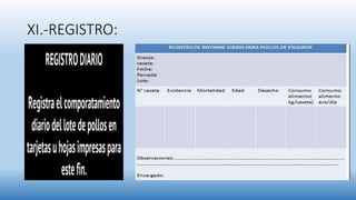 XI.-REGISTRO:
 