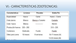 VI.- CARACTERISTICAS ZOOTECNICAS:
 