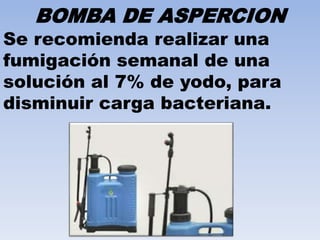 BOMBA DE ASPERCION 
Se recomienda realizar una 
fumigación semanal de una 
solución al 7% de yodo, para 
disminuir carga bacteriana. 
 