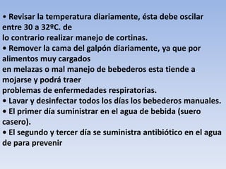 • Revisar la temperatura diariamente, ésta debe oscilar 
entre 30 a 32ºC. de 
lo contrario realizar manejo de cortinas. 
• Remover la cama del galpón diariamente, ya que por 
alimentos muy cargados 
en melazas o mal manejo de bebederos esta tiende a 
mojarse y podrá traer 
problemas de enfermedades respiratorias. 
• Lavar y desinfectar todos los días los bebederos manuales. 
• El primer día suministrar en el agua de bebida (suero 
casero). 
• El segundo y tercer día se suministra antibiótico en el agua 
de para prevenir 
 