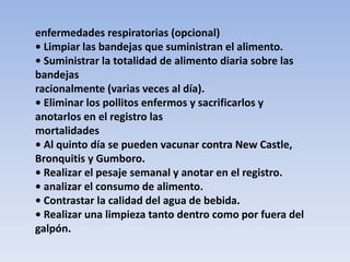 enfermedades respiratorias (opcional) 
• Limpiar las bandejas que suministran el alimento. 
• Suministrar la totalidad de alimento diaria sobre las 
bandejas 
racionalmente (varias veces al día). 
• Eliminar los pollitos enfermos y sacrificarlos y 
anotarlos en el registro las 
mortalidades 
• Al quinto día se pueden vacunar contra New Castle, 
Bronquitis y Gumboro. 
• Realizar el pesaje semanal y anotar en el registro. 
• analizar el consumo de alimento. 
• Contrastar la calidad del agua de bebida. 
• Realizar una limpieza tanto dentro como por fuera del 
galpón. 
 