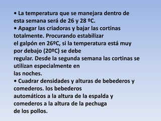 • La temperatura que se manejara dentro de 
esta semana será de 26 y 28 ºC. 
• Apagar las criadoras y bajar las cortinas 
totalmente. Procurando estabilizar 
el galpón en 26ºC, si la temperatura está muy 
por debajo (20ºC) se debe 
regular. Desde la segunda semana las cortinas se 
utilizan especialmente en 
las noches. 
• Cuadrar densidades y alturas de bebederos y 
comederos. los bebederos 
automáticos a la altura de la espalda y 
comederos a la altura de la pechuga 
de los pollos. 
 