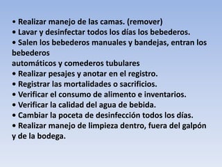 • Realizar manejo de las camas. (remover) 
• Lavar y desinfectar todos los días los bebederos. 
• Salen los bebederos manuales y bandejas, entran los 
bebederos 
automáticos y comederos tubulares 
• Realizar pesajes y anotar en el registro. 
• Registrar las mortalidades o sacrificios. 
• Verificar el consumo de alimento e inventarios. 
• Verificar la calidad del agua de bebida. 
• Cambiar la poceta de desinfección todos los días. 
• Realizar manejo de limpieza dentro, fuera del galpón 
y de la bodega. 
 