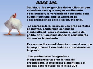 ROSS 308. 
Satisface las exigencias de los clientes que 
necesitan aves que tengan rendimiento 
consistente y la versatilidad necesaria para 
cumplir con una amplia variedad de 
especificaciones para el producto final. 
La reproductora, produce una gran cantidad 
de huevos, combinada con buena 
incubabilidad para optimizar el costo del 
pollito en situaciones donde el rendimiento 
del ave es importante. 
Es reconocida mundialmente como el ave que 
le proporcionará rendimiento consistente en 
la granja. 
Los productores integrados e 
independientes valoran la tasa de 
crecimiento, la eficiencia alimenticia y el 
rendimiento robusto de la Ross 308 
 