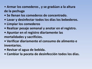 • Armar los comederos , y se gradúan a la altura 
de la pechuga 
• Se llenan los comederos de concentrado. 
• Lavar y desinfectar todos los días los bebederos. 
• Limpiar los comederos 
• Realizar pesaje semanal y anotar en el registro. 
• Apuntar en el registro diariamente las 
mortalidades y sacrificios. 
• Verificar diariamente el consumo de alimento e 
inventarios. 
• Revisar el agua de bebida. 
• Cambiar la poceta de desinfección todos los días. 
 