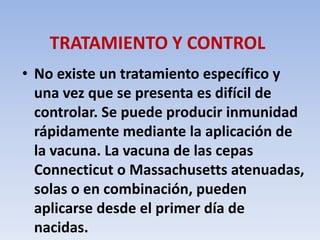 TRATAMIENTO Y CONTROL 
• No existe un tratamiento específico y 
una vez que se presenta es difícil de 
controlar. Se puede producir inmunidad 
rápidamente mediante la aplicación de 
la vacuna. La vacuna de las cepas 
Connecticut o Massachusetts atenuadas, 
solas o en combinación, pueden 
aplicarse desde el primer día de 
nacidas. 
 