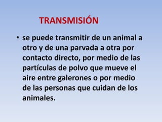 TRANSMISIÓN 
• se puede transmitir de un animal a 
otro y de una parvada a otra por 
contacto directo, por medio de las 
partículas de polvo que mueve el 
aire entre galerones o por medio 
de las personas que cuidan de los 
animales. 
 