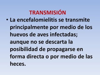 TRANSMISIÓN 
• La encefalomielitis se transmite 
principalmente por medio de los 
huevos de aves infectadas; 
aunque no se descarta la 
posibilidad de propagarse en 
forma directa o por medio de las 
heces. 
 