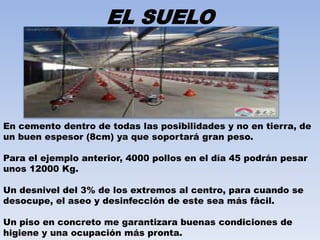 EL SUELO 
En cemento dentro de todas las posibilidades y no en tierra, de 
un buen espesor (8cm) ya que soportará gran peso. 
Para el ejemplo anterior, 4000 pollos en el día 45 podrán pesar 
unos 12000 Kg. 
Un desnivel del 3% de los extremos al centro, para cuando se 
desocupe, el aseo y desinfección de este sea más fácil. 
Un piso en concreto me garantizara buenas condiciones de 
higiene y una ocupación más pronta. 
 