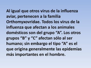 Al igual que otros virus de la influenza 
aviar, pertenecen a la familia 
Orthomyxovridae. Todos los virus de la 
influenza que afectan a los animales 
domésticos son del grupo “A”. Los otros 
grupos “B” y “C” afectan sólo al ser 
humano; sin embargo el tipo “A” es el 
que origina generalmente las epidemias 
más importantes en el hombre. 
 