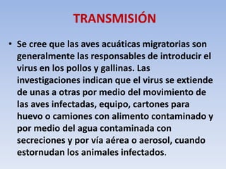 TRANSMISIÓN 
• Se cree que las aves acuáticas migratorias son 
generalmente las responsables de introducir el 
virus en los pollos y gallinas. Las 
investigaciones indican que el virus se extiende 
de unas a otras por medio del movimiento de 
las aves infectadas, equipo, cartones para 
huevo o camiones con alimento contaminado y 
por medio del agua contaminada con 
secreciones y por vía aérea o aerosol, cuando 
estornudan los animales infectados. 
 