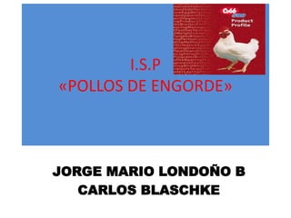 I.S.P 
«POLLOS DE ENGORDE» 
JORGE MARIO LONDOÑO B 
CARLOS BLASCHKE 
 
