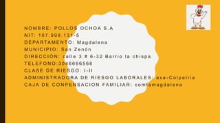 N O M B R E : P O L L O S O C H O A S . A
N I T: 1 0 7 . 9 9 9 . 1 3 1 - 5
D E PA R TA M E N T O : M a g d a l e n a
M U N I C I P I O : S a n Z e n ó n
D I R E C C I Ó N : c a l l e 3 # 6 - 3 2 B a r r i o l a c h i s p a
T E L E F O N O : 3 0 4 6 6 6 6 5 6 6
C L A S E D E R I E S G O : I - I I
A D M I N I S T R A D O R A D E R I E S G O L A B O R A L E S : a x a - C o l p a t r i a
C A J A D E C O N P E N S A C I O N FA M I L I A R : c o m f a m a g d a l e n a
 