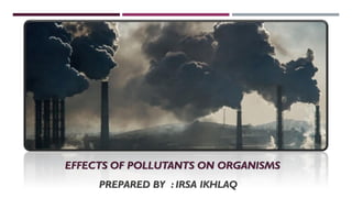 EFFECTS OF POLLUTANTS ON ORGANISMS
PREPARED BY : IRSA IKHLAQ
 