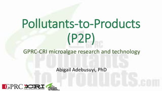 Pollutants-to-Products
(P2P)
GPRC-CRI microalgae research and technology
Abigail Adebusuyi, PhD
 