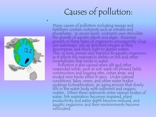 Pollution