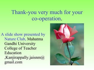 Thank-you very much for your co-operation . A slide show presented by Nature Club,  Mahatma Gandhi University College of Teacher Education ,Kanjirappally.jaisnm@gmail.com Flora Natura 