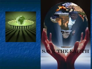 Environmental Pollution