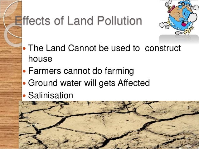 land of the free essay land of the free essay