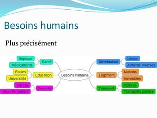 Besoins humains
Plus précisément
 