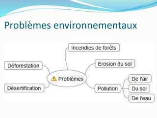 Problèmes environnementaux
 