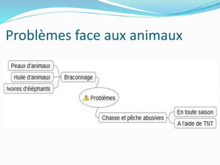 Problèmes face aux animaux
 