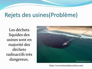 Rejets des usines(Problème)
Les déchets
liquides des
usines sont en
majorité des
déchets
radioactifs très
dangereux.
http://www.bassindarcachon.com
 