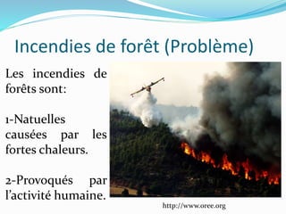 Incendies de forêt (Problème)
http://www.oree.org
Les incendies de
forêts sont:
1-Natuelles
causées par les
fortes chaleurs.
2-Provoqués par
l’activité humaine.
 