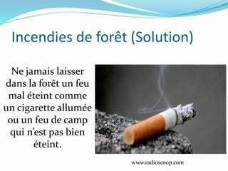 Incendies de forêt (Solution)
www.radioscoop.com
Ne jamais laisser
dans la forêt un feu
mal éteint comme
un cigarette allumée
ou un feu de camp
qui n’est pas bien
éteint.
 
