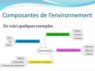 Composantes de l’environnement
En voici quelques exemples
 