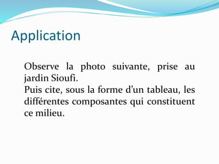 Application
Observe la photo suivante, prise au
jardin Sioufi.
Puis cite, sous la forme d’un tableau, les
différentes composantes qui constituent
ce milieu.
 
