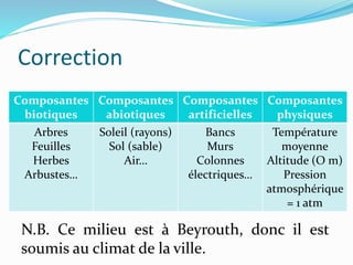 Correction
Composantes
biotiques
Composantes
abiotiques
Composantes
artificielles
Composantes
physiques
Arbres
Feuilles
Herbes
Arbustes…
Soleil (rayons)
Sol (sable)
Air…
Bancs
Murs
Colonnes
électriques…
Température
moyenne
Altitude (O m)
Pression
atmosphérique
= 1 atm
N.B. Ce milieu est à Beyrouth, donc il est
soumis au climat de la ville.
 