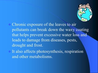 Chronic exposure of the leaves to air pollutants can break down the waxy coating that helps prevent excessive water loss and leads to damage from diseases, pests, drought and frost. 
It also affects photosynthesis, respiration and other metabolisms.  