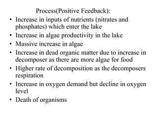Process(Positive Feedback):
• Increase in inputs of nutrients (nitrates and
phosphates) which enter the lake
• Increase in algae productivity in the lake
• Massive increase in algae
• Increase in dead organic matter due to increase in
decomposer as there are more algae for food
• Higher rate of decomposition as the decomposers
respiration
• Increase in oxygen demand but decline in oxygen
level
• Death of organisms
 