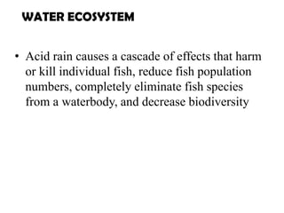 • Acid rain causes a cascade of effects that harm
or kill individual fish, reduce fish population
numbers, completely eliminate fish species
from a waterbody, and decrease biodiversity
WATER ECOSYSTEM
 