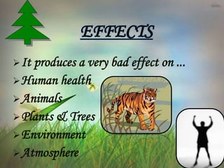 It produces a very bad effect on ...
Human health
Animals
Plants & Trees
Environment
Atmosphere
EFFECTS
 