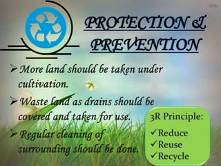 PROTECTION &
PREVENTION
 