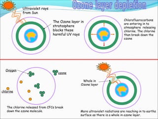 Ultraviolet rays
from Sun
The Ozone layer in
stratosphere
blocks these
harmful UV rays
Chlorofluorocarbons
are entering in to
atmosphere releasing
chlorine. The chlorine
than break down the
ozone
The chlorine released from CFCs break
down the ozone molecule.
chlorine
ozone
More ultraviolet radiations are reaching in to earths
surface as there is a whole in ozone layer.
Oxygen
Whole in
Ozone layer
 