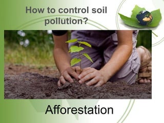 How to control soil
pollution?
Afforestation
 
