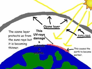 ThisThis
UV-raysUV-rays
damagedamage
ss
animalsanimals
&&
plants.plants.
 
